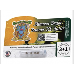 Mimosa Bruce Banner XL Auto. Photo 3
